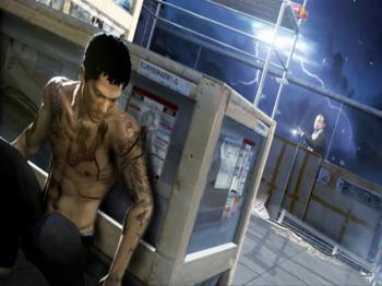 Sleeping Dogs - Limited Edition