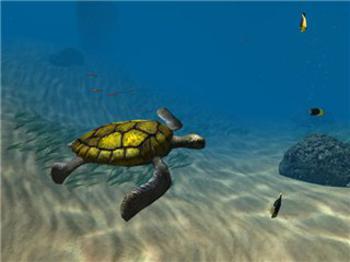 Ocean Dive: Ocean Diving Adventure