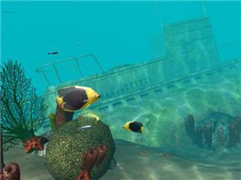 Ocean Dive: Ocean Diving Adventure