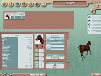Horse Racing Manager
