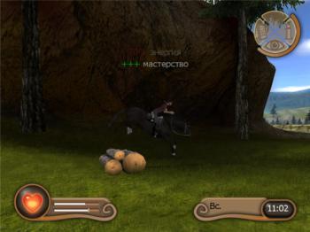 My Riding Stables - Life with horses