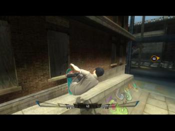 Shaun White Skateboarding