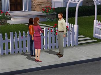 Desperate Housewives: The Game