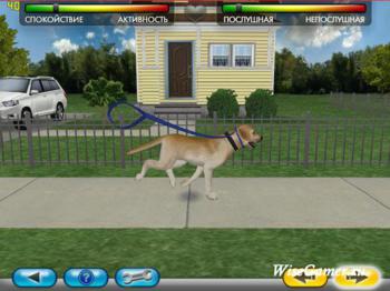 Пойми свою собаку с Цезаром Милано