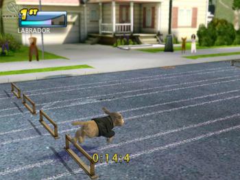 Petz Sports: Dog Playground