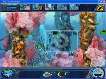 Caribbean Sea Fishes