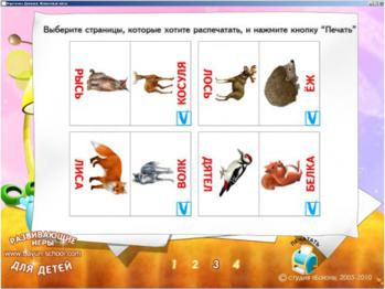 Карточки Домана