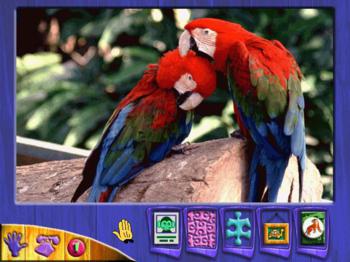 Антошка: Невероятное сафари