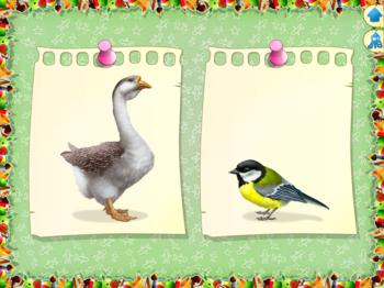 Раннее развитие детей по системе Монтессори