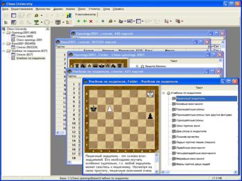 Шахматный университет
