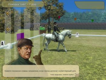 СКАЧКИ! Конный турнир