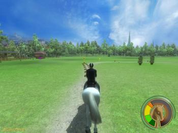 СКАЧКИ! Конный турнир