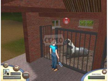 Racing Horse Tycoon