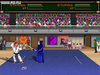 Budokan: Martial Spirit