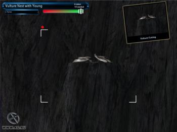 ФОТО сафари