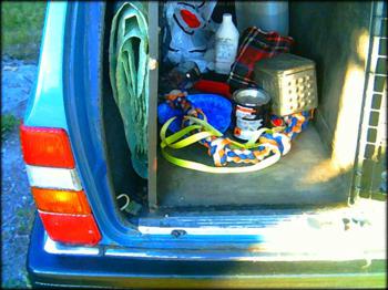 Remedy: Carol Reeds First Mystery