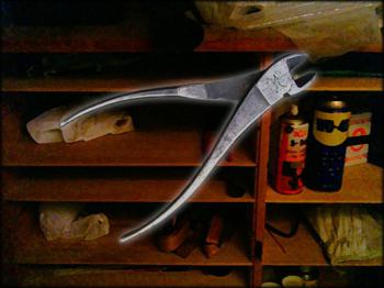 Remedy: Carol Reeds First Mystery