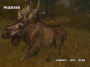 Cabela's Dangerous Hunts