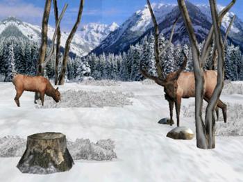 Big Buck Hunter