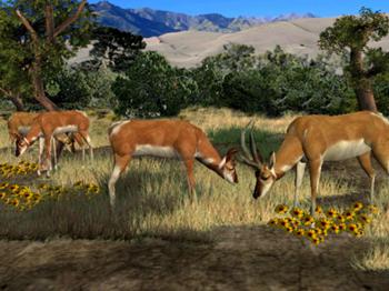 Big Buck Hunter