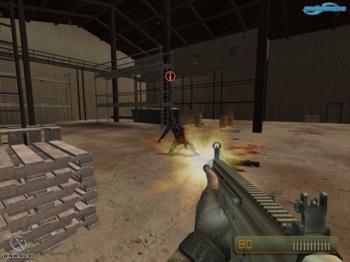 Marine Sharpshooter 5