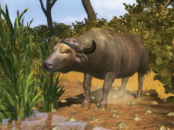 Cabelas BIG GAME hunter 2009